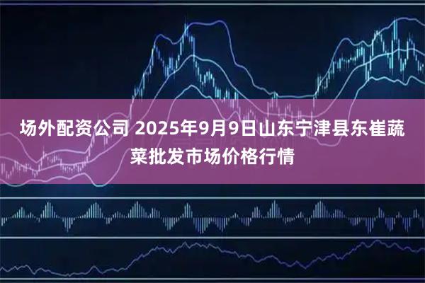 场外配资公司 2025年9月9日山东宁津县东崔蔬菜批发市场价格行情