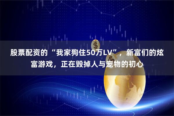 股票配资的 “我家狗住50万LV”，新富们的炫富游戏，正在毁掉人与宠物的初心