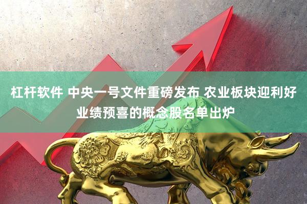 杠杆软件 中央一号文件重磅发布 农业板块迎利好 业绩预喜的概念股名单出炉